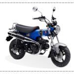 Supra X 125 FI
